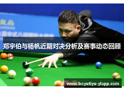 郑宇伯与杨帆近期对决分析及赛事动态回顾